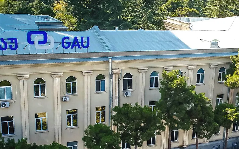 mbbs in georgia