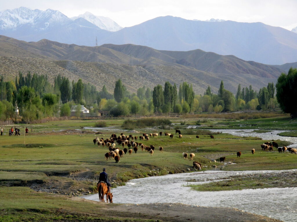 mbbs in kyrgyzstan