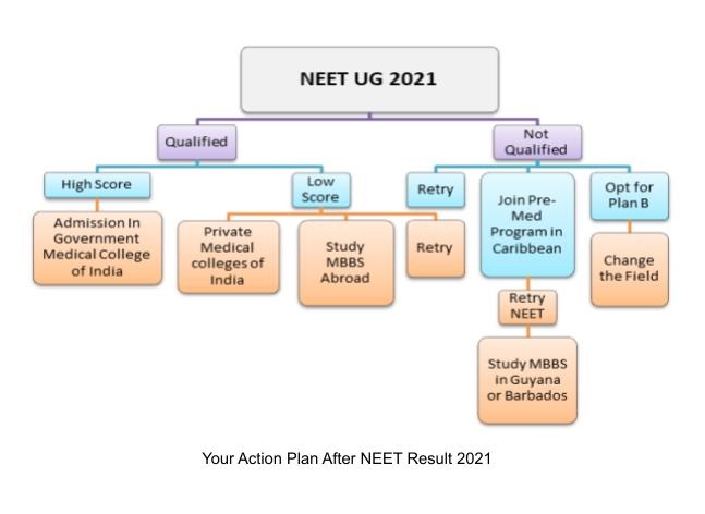 action-plan-after-neet-ug-2021Blog.jpg